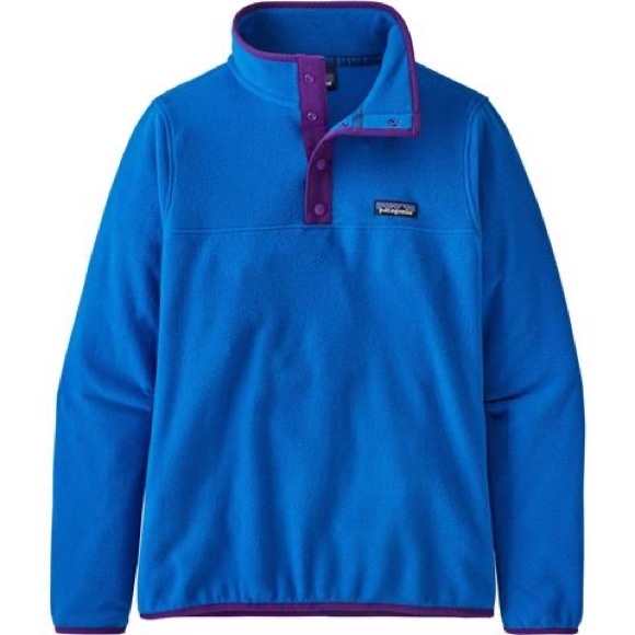 Patagonia Sweaters - Patagonia Alpine Blue Micro-D Snap-T Fleece Pullover with Ecolab Embroidery